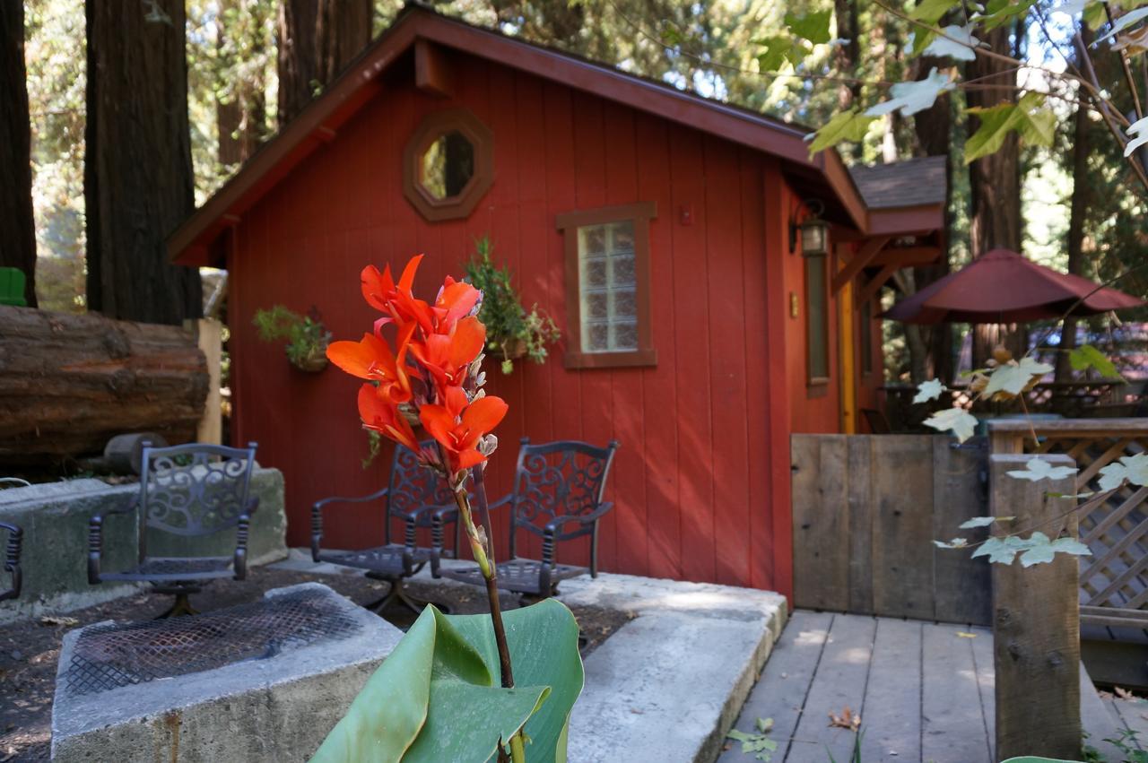 Riverside Campground & Cabins Big Sur Ngoại thất bức ảnh